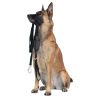 Visibility Dog Leash Black | Collars, Leashes & Harnesses Collars, Leashes & Harnesses Collars, Leashes & Harnesses