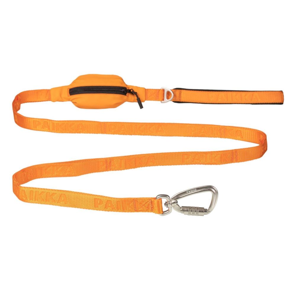 Visibility Dog Leash Orange | Collars, Leashes & Harnesses Collars, Leashes & Harnesses Collars, Leashes & Harnesses