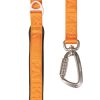 Visibility Dog Leash Orange | Collars, Leashes & Harnesses Collars, Leashes & Harnesses Collars, Leashes & Harnesses