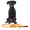 Visibility Dog Leash Orange | Collars, Leashes & Harnesses Collars, Leashes & Harnesses Collars, Leashes & Harnesses