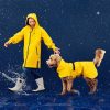 Visibility Yellow Raincoat | Clothing & Accessories Clothing & Accessories Clothing & Accessories