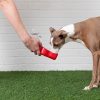 Water Bottle Red | Bowls & Feeding Bowls & Feeding Bowls & Feeding