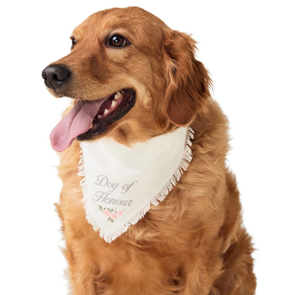 Wedding Dog of Honour Bandana | Clothing & Accessories Clothing & Accessories Clothing & Accessories