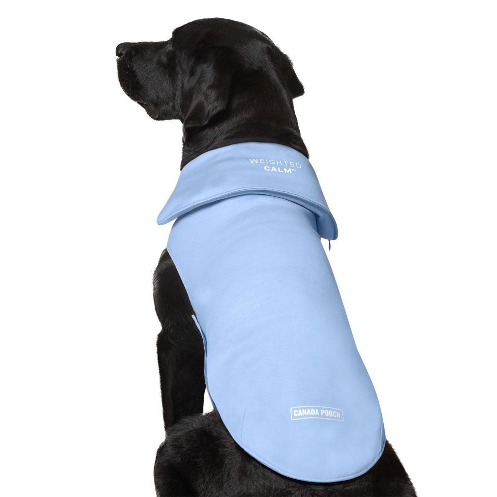 Weighted Blue Calming Vest | Carriers & Travel Accessories Carriers & Travel Accessories Carriers & Travel Accessories