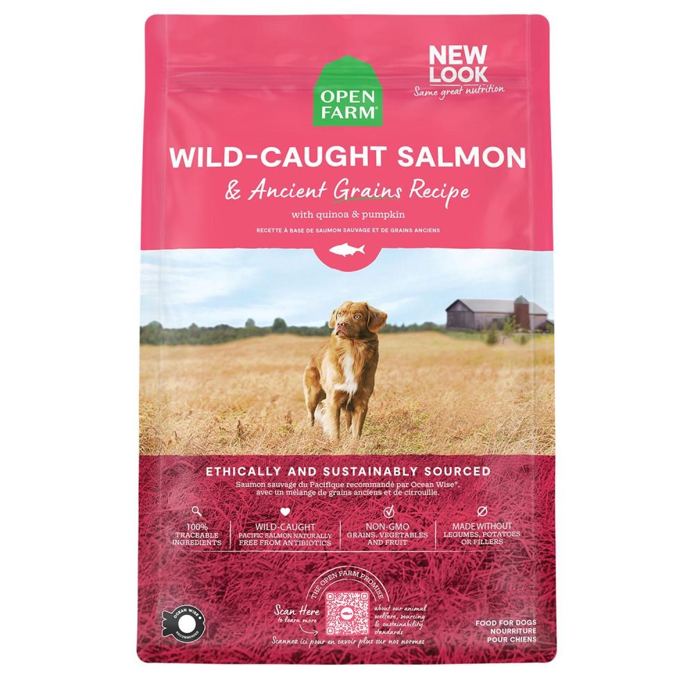 Wild-Caught Salmon & Ancient Grains Recipe Adult Dog Food | Dry Food Dog Dog